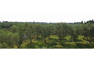 Pension de famille Ulcinj 6